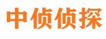 光山市侦探